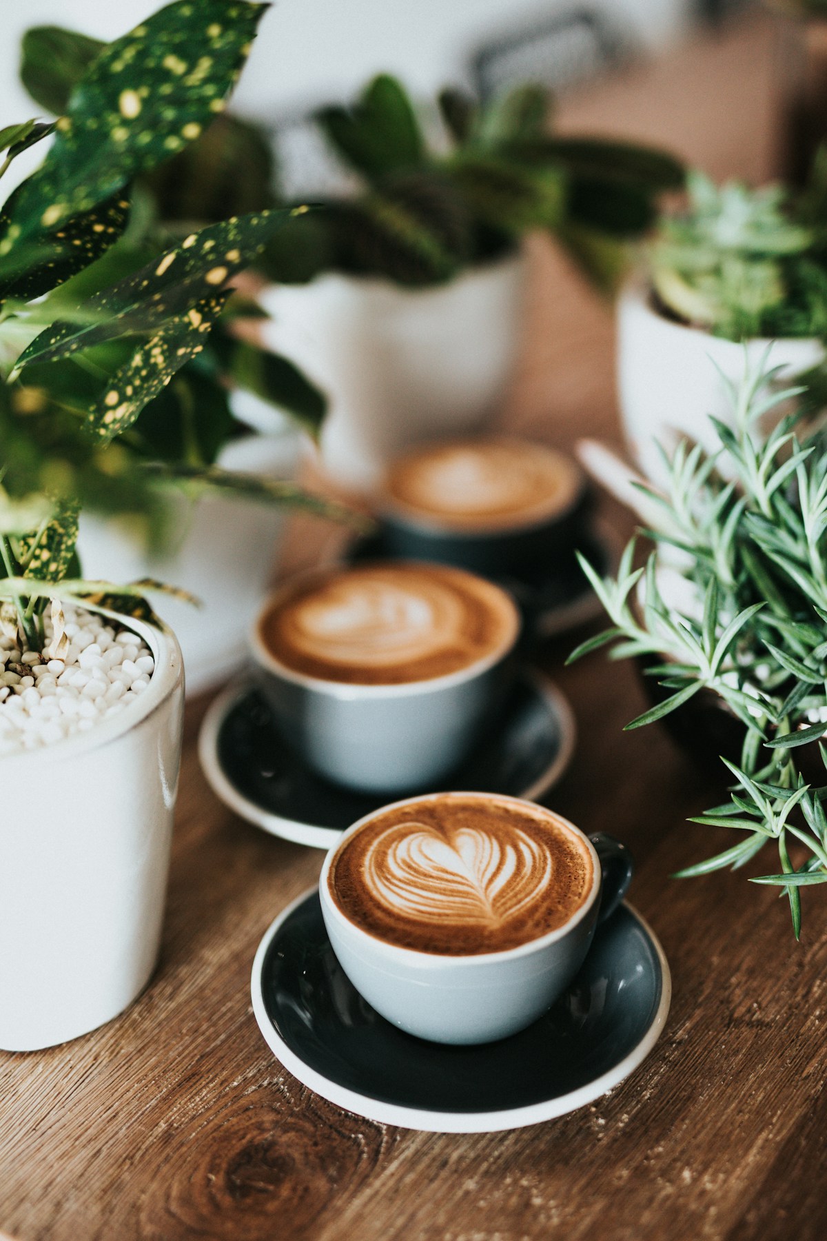 Coffee shared around a table